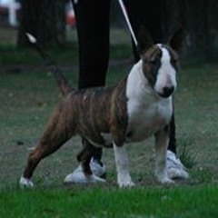 Esmarian Sidorkevich