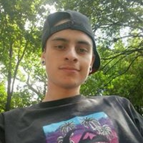 Gustavo Gauer’s avatar
