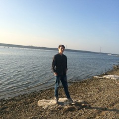 Edmundas Šiaudvytis