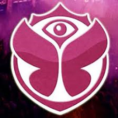 dansteele2