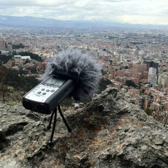 Paisajes Sonoros Urbanos