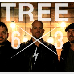 Tree63