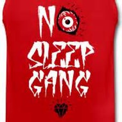 No $leep Gang