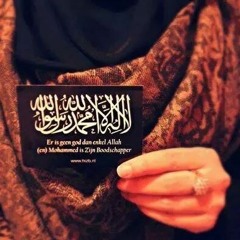 Hader Adel 2