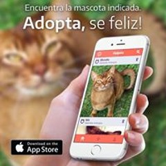 Samuel Romero Suarez