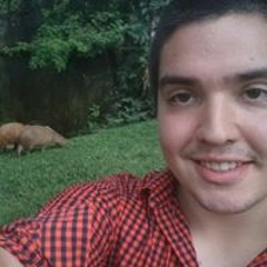 Dieter Gudenschwager