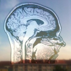 Martine-Nicole Rojina