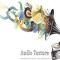 Audio Texture