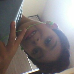 user441775353