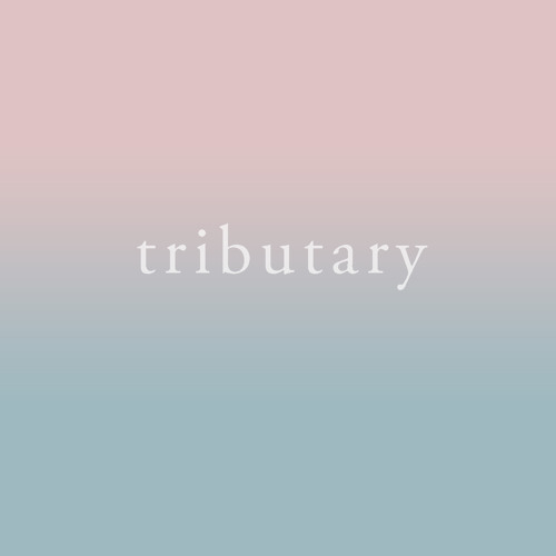 tributary’s avatar