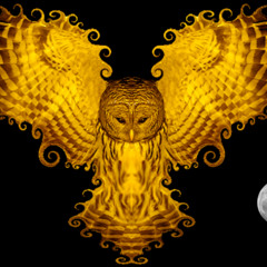 Golden Owl