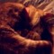 zound_whore13