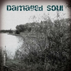 Damaged Soul