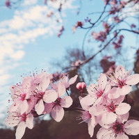 キャラメル ソング Caramel Song By Edwards Chang