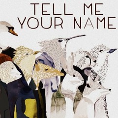 Tell Me Your Name