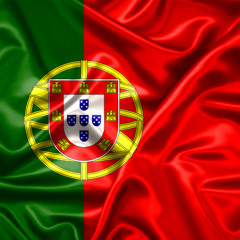 Portuguese Army Repost