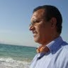 Ward Elgamil