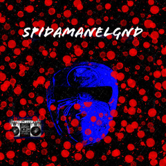 SpidaManeLgNd