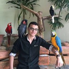 user840790836