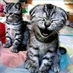 Indira Hadzovic Karovic