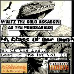 Waltz The Solo Assassin1