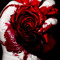 strawberryblood13