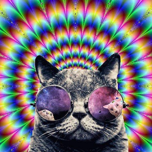 Neelix - Live 2012 (Set)