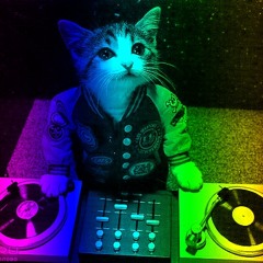 DJ KOT
