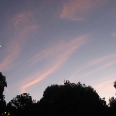 nyleau (a.k.a. underwoman and the believers)