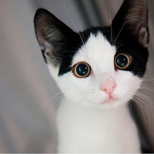 Light it up till you drop!