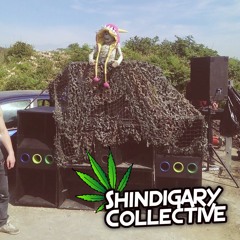 Shindigary Collective