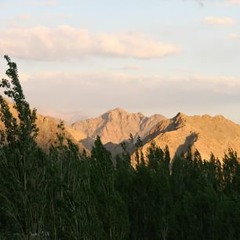 jacksonjazminjackson