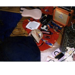 robert julian fronzo