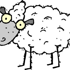 Bull Sheep