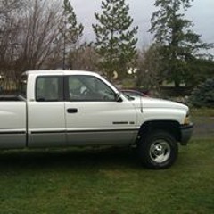 Steven Haigh Opheikens