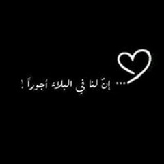 العنكبوت النونو