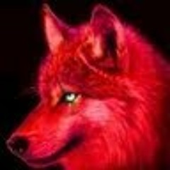 EddyWolfy