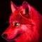 EddyWolfy