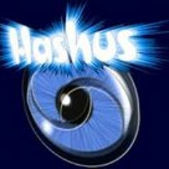 hashus33