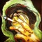 BudShrooms