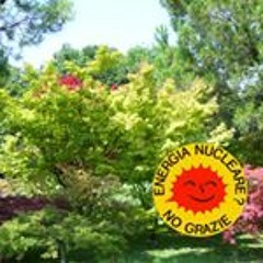 Massimiliano Mauriello