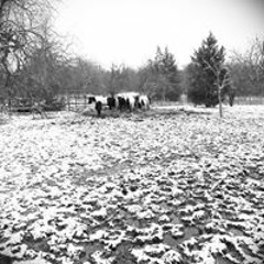 Danny Lee McRoberts Jr.