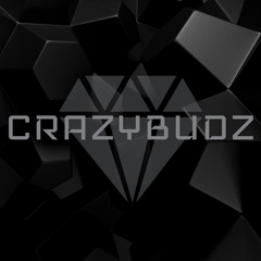 Car radio instrumental