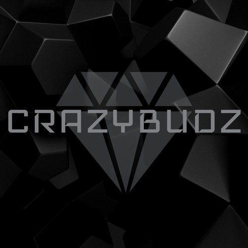 Car radio instrumental