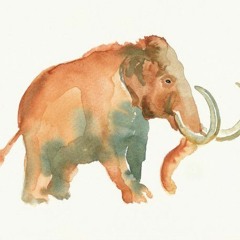 BrainMammoth