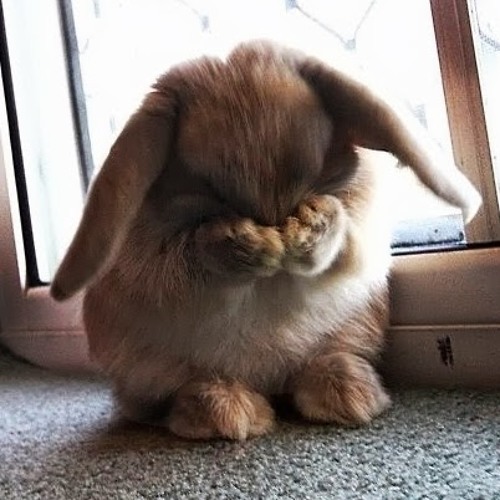 Cтоимость строительства блока АЭС в разы превышает стоимость "зеленой" энергетики: в 4,4 раза – ветровой, в 2 раза – био и в 5 – солнечной - Цензор.НЕТ 3791