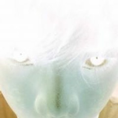 Jego Reginald Santiago Uy