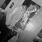 weedboss