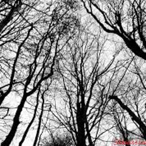 (Velocyphon)On The Rough Edges