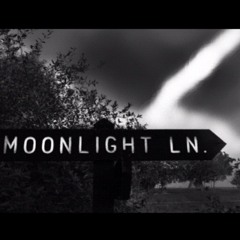 Moonlight Lane